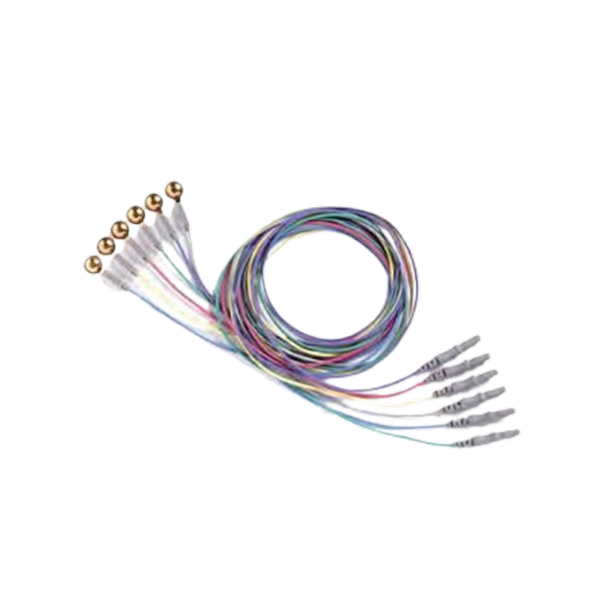 Electrode Eeg Cup Neurology